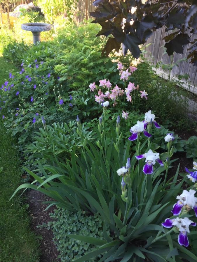Quiet Resting Place YYC Exterior foto